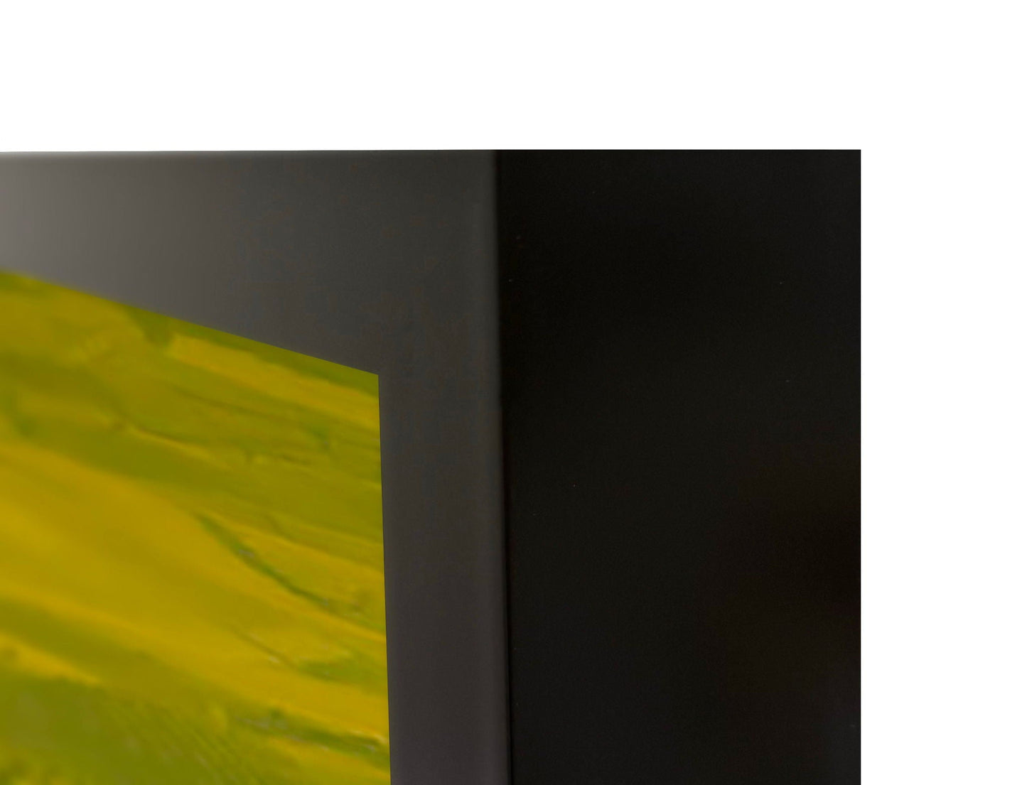 Vinyard - 48 x 72 Photography - Green
