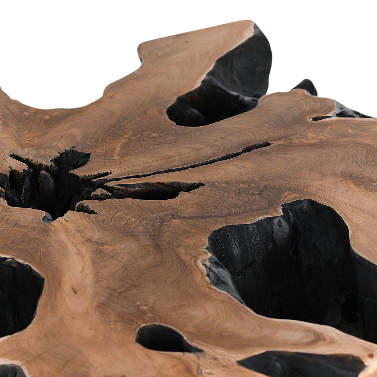 Cypress Root - 40 Square Coffee Table