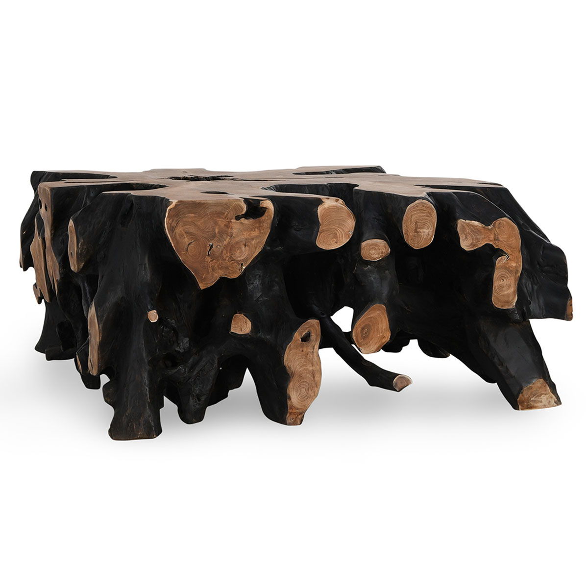 Cypress Root - 40 Square Coffee Table