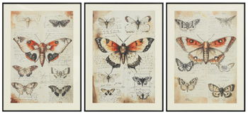 Jossletts - Orange / Black / Ivory - Wall Art Set (Set of 3)