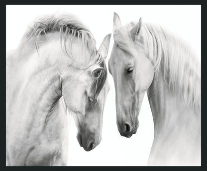 White - 48 x 72 Horses Photography - Gray
